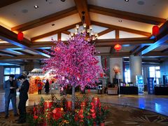 -长白山万达喜来登度假酒店