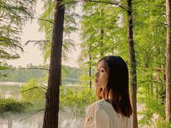 -东湖落雁景区