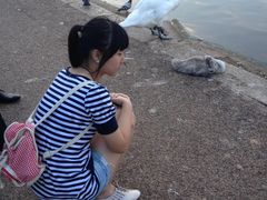 -海德公园