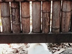 -成都市文殊院