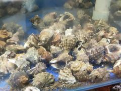 -雅逸居海鲜小厨