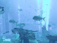 -亚特兰蒂斯•OSSIANO奥西亚诺海底餐厅