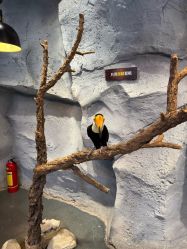 -Zoolung Zoolung动物主题公园(海信广场店)