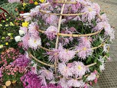 -共青国家森林公园-南大门停车场