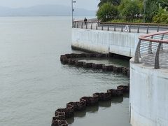 -深圳湾公园(南山区)