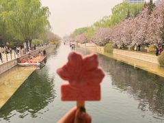 -元大都城垣遗址公园