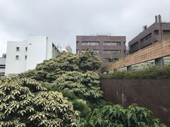 -香港大学