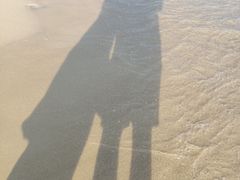 -亚龙湾海底世界