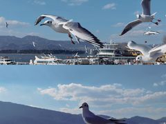 -海埂大坝