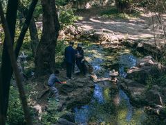 -四门塔风景区