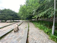 -仰山公园