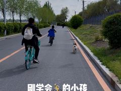 -丁香湖公园