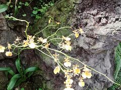 -南通洲际绿博园