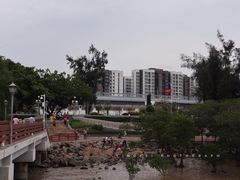 -宝安西湾红树林湿地公园