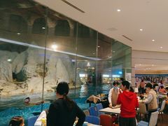 -帝企鹅自助餐厅•儿童岛•真企鹅(长隆企鹅酒店)