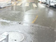 -青山湖·香溢花城