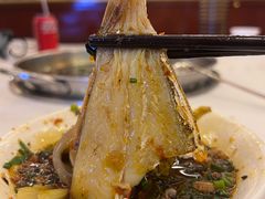 -川道拐耗儿鱼(旗舰店)