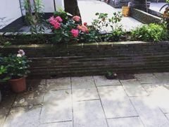 -家烧面馆【南山路知名经典面食】