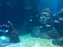 -暹罗海洋世界