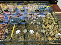 -明记海鲜大排档(巽寮湾店)