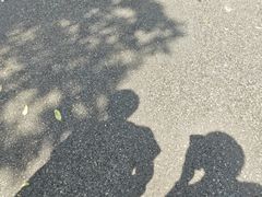 -海珠湖公园
