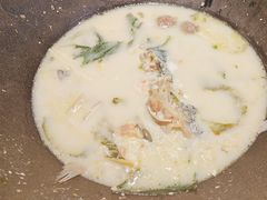 -鲜潭蒸汽石锅鱼(五道口购物中心店)