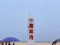 -东郊椰林