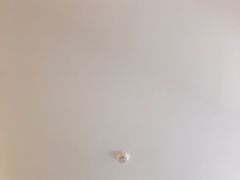 -Flower in(密渡桥店)