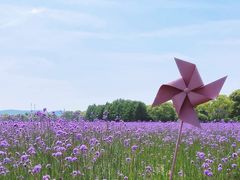 -山明水秀大饭店