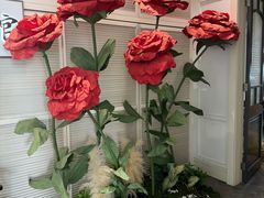 -22ºN BISTRO西餐&酒馆