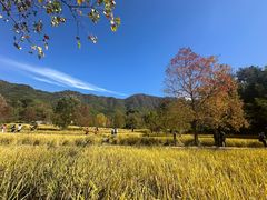 -塔川景区