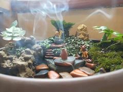 -阆辣荟餐饮(老味道8年·古城店)