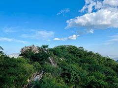 -大岭沟猕猴桃谷风景区