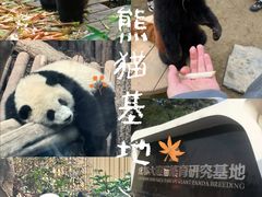 -吃城都·鱼蛙火锅(西玉龙街店)