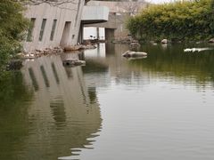 -新江湾城公园
