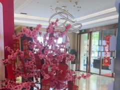 -合肥美奥口腔·种植矫正中心(政务院)