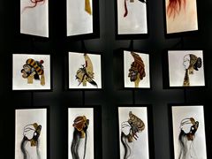 -四川大学博物馆