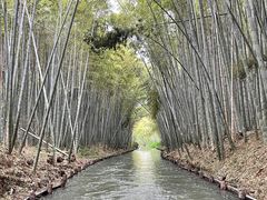 -同里国家湿地公园