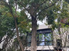 -天悦阁海景酒廊