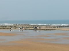-青岛石老人海水浴场