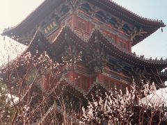 -迎泽公园