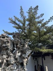 -梦回汉唐汉服旗袍体验馆(拙政园店)