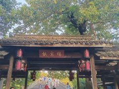 -运河游船(武林门码头)