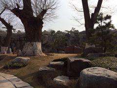 iphone_upload_pic-中国唐苑