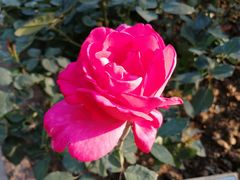 -人民公园(罗湖区)