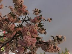 -大雁塔北广场音乐喷泉