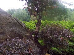 -昆山城市生态森林公园