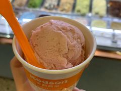 -iceason爱茜茜里·意大利健康冰淇淋(骑龙巷店)