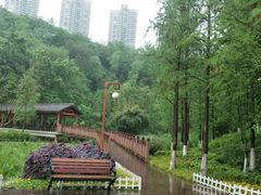 -重庆彩云湖湿地公园