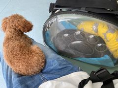 -佳怡动物医院·平价24小时·猫专科骨外科